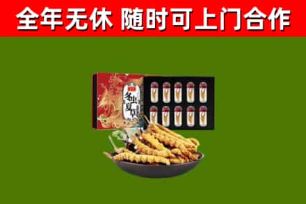 下陆区回收冬虫夏草价格